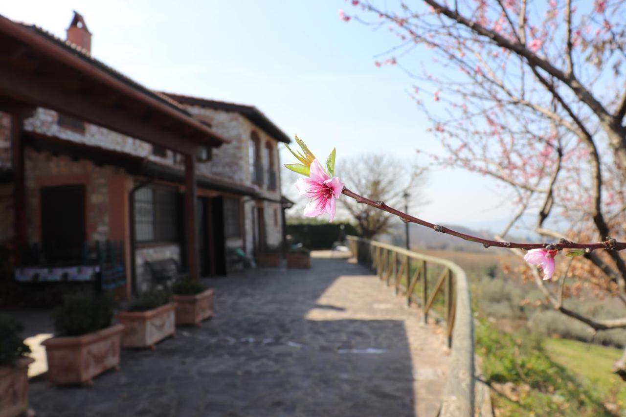 B&B Casale Roshlee Gualdo Cattaneo Dış mekan fotoğraf